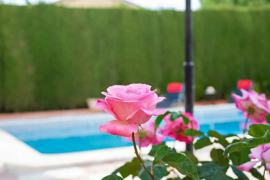 New. Luxury Villa C&C. Jardin, Piscina Y Barbacoa Granada